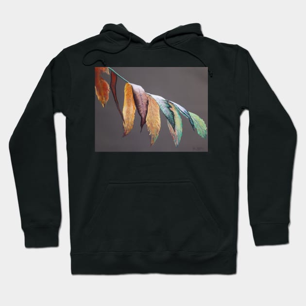 Leaves Hoodie by dylanshelmerdine